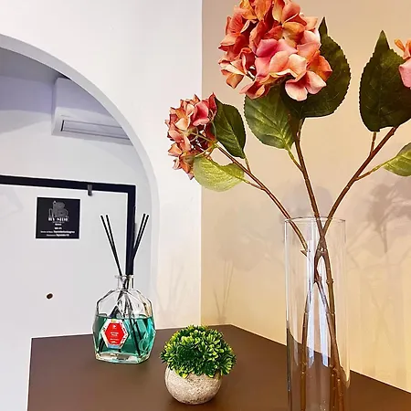 Apartment Bolognabyside -righi *