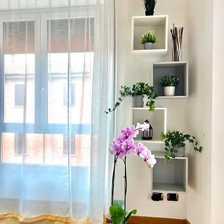 Bolognabyside -righi *