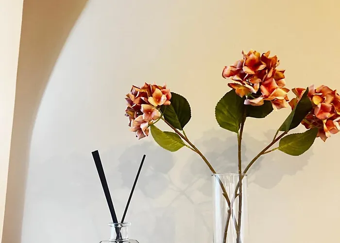 Bolognabyside -righi