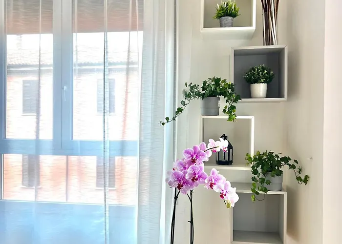 Bolognabyside -righi *