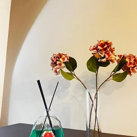 Bolognabyside -righi