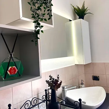 Bolognabyside -righi *