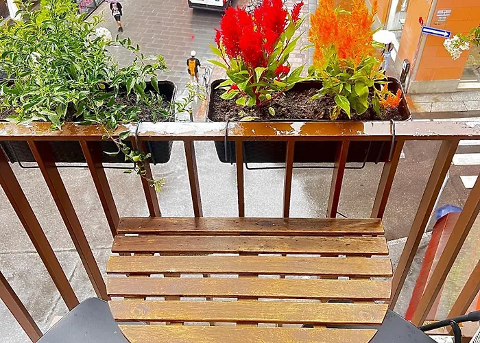 Bolognabyside -righi بولونيا